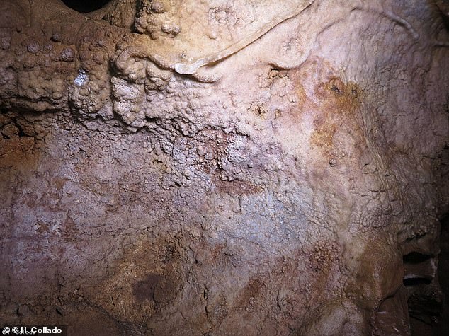 The study suggests Neanderthals invented art 20,000 years before modern humans thought of daubing pictures of prehistoric bison on cave walls. This cave wall in Maltravieso with Neanderthal hand stencils is almost completely covered with calcite. It is more than 66,000 years old which pre-dates the existence of humans in the European region