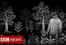 Warli tribe: 'We are India's soul, don't kill us' – BBC News