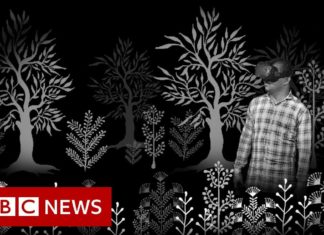 Warli tribe: 'We are India's soul, don't kill us' – BBC News