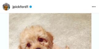 England’s Euro heroes who adore their dogs almost as much as they love footie Jordan Pickford